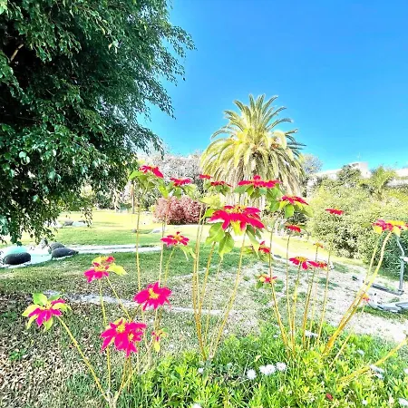 Two Bedrooms Apartment, With Wifi And Pools *