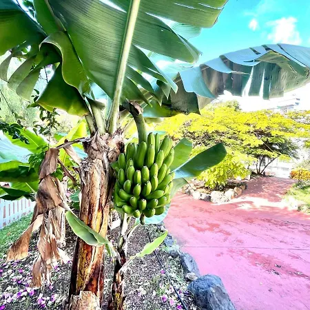 Two Bedrooms Apartment, With Wifi And Pools Apartment Puerto de la Cruz (Tenerife)